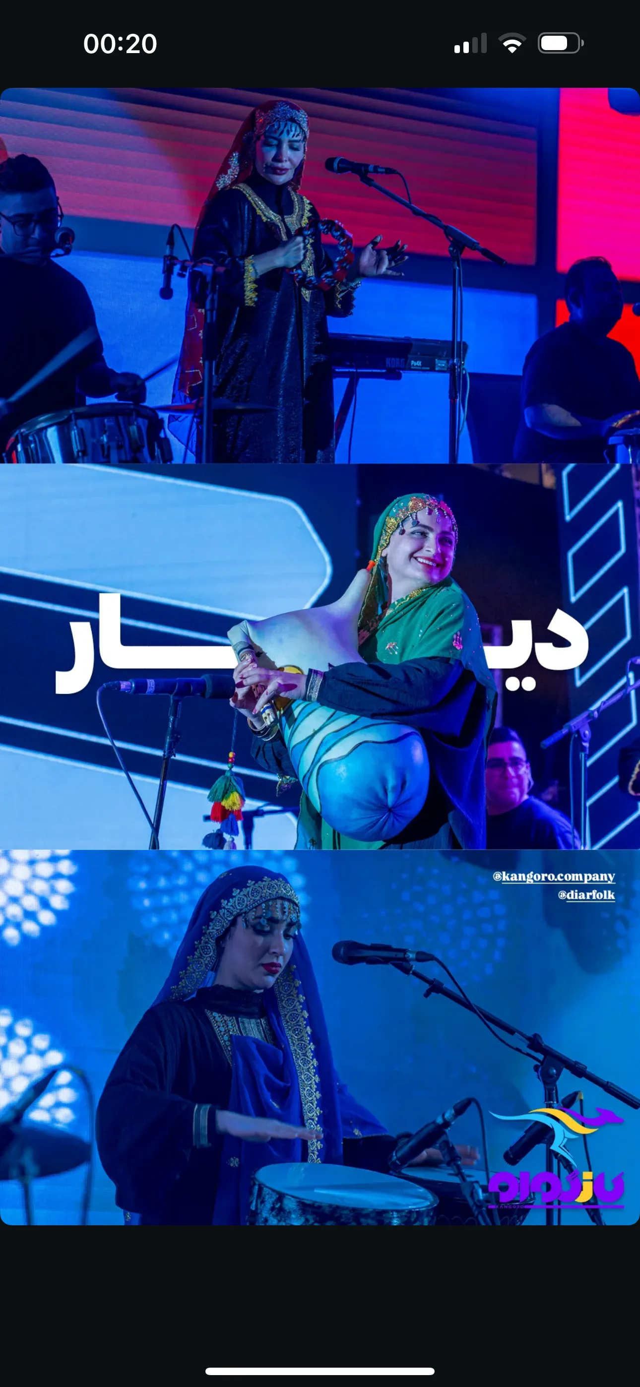 اجراهای ارگانی